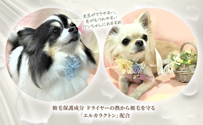 【犬用】リニューアル  プロテインミスト 50ml・200ml・詰替用 400ml セット 雑貨 日用品 ブラッシングスプレー 