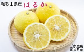 【さわやか柑橘】和歌山県産はるかみかん約4.5kg（サイズ混合　ご家庭用）※2026年2月下旬～3月下旬頃に順次発送予定