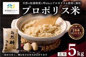 ns063-001 【那須塩原ブランド認定品】プロポリス米(1等級コシヒカリ 玄米5kg)  【令和7年度産米】