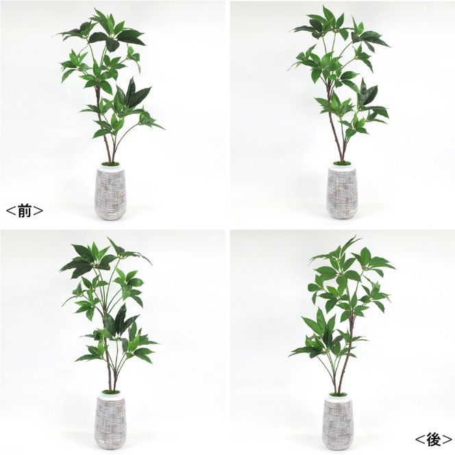 アートフラワー エミリオ・ロバ ツピタンサス TUTTA03350