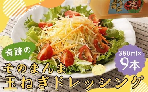 yÖszՂ̂̂܂ ʂ˂hbVO 9{Zbg i380ml×9{j hbVO  Y mIC