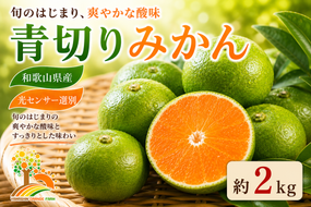 【先行予約】こだわりの青切りみかん 約2kg 農家直送 有機質肥料 100% サイズ混合 ｜ みかん 柑橘 果物 くだもの 果実 フルーツ 和歌山 有田