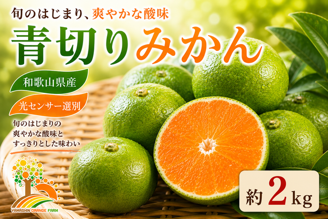 【先行予約】こだわりの青切りみかん 約2kg 農家直送 有機質肥料 100% サイズ混合 ｜ みかん 柑橘 果物 くだもの 果実 フルーツ 和歌山 有田