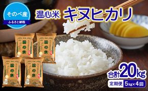 【定期便】キヌヒカリ5kg×4回　合計20kg　令和7年度産　そのべ産 温心米　米 20kg 単一原料米 きぬひかり 丹波 精米 白米 こめ コメ 京都