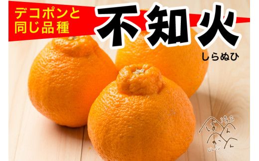 先行予約 優品 不知火 約3kg 12玉～18玉 清家ばんかんビレッジ ギフト 贈答 みかん 蜜柑 しらぬい デコポン 清見 きよみ ポンカン 柑橘 果物 フルーツ 柑橘 糖度 ビタミン 健康 美容 愛媛 愛南 発送:2024年2月10日～3月31日(なくなり次第終了)