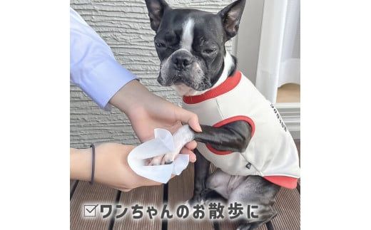 クッキングペーパー 計5個 1ロール240枚  クッキングシート キッチンペーパー タオル お手拭き テーブル拭き 丈夫 厚手 破れにくい 天然素材 レーヨン パルプ 吸水【三昭紙業株式会社】 [BQBF039]