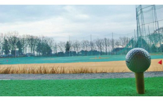 牛久 ジャンボゴルフ 練習場 練習 無料券 6枚 ゴルフ ゴルフ場 練習券 利用券 プレー プレー券 チケット ゴルフチケット 打ち放題 打ちっぱなし 270ヤード 屋外 茨城 [BH002us]