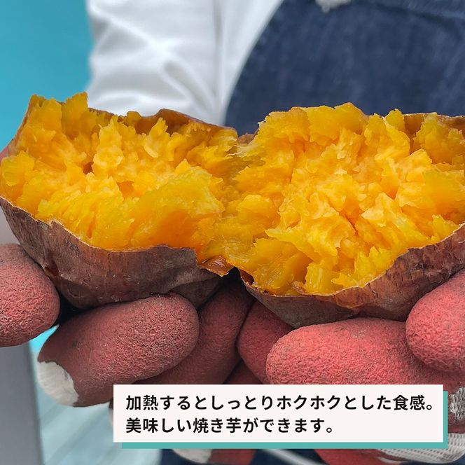 【産地直送】紅はるか（淡路島産）土付き　約5kg　不揃い【栽培期間中、農薬・化学肥料不使用】 さつまいも