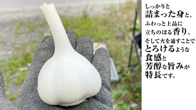 【先行予約】超芳醇 つくばみらいの土が育んだ 最上級ニンニク 1kg つくばみらい市（2026年6月より発送開始） ニンニク 新ニンニク 茨城県産 国産 無化学肥料 農薬不使用 化学肥料不使用 [FA02-NT]