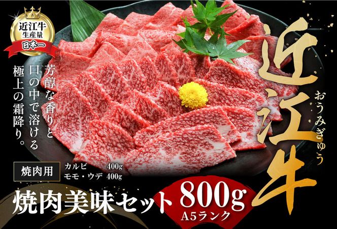 【げんさん】近江牛A5ランク焼肉美味セット【800g】【DG10W】