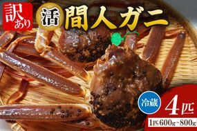 間人漁港仲買人の丸友鮮魚三代目・自慢の間人ガニ【活】生・訳アリ・間人ガニ（ズワイガニ　松葉ガニ）[600~800g×4匹]　MG00016