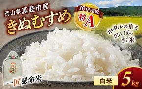 令和8年産 真庭市産 きぬむすめ 白米 5kg / お米 国産 岡山県 米 きぬむすめ 人気 ブランド 2026年産 【tkns005-02】