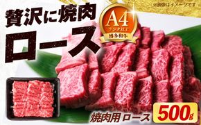 博多和牛 牛肉 焼肉 ロース 500g《築上町》【肉のくまもと屋】[ABEZ074]