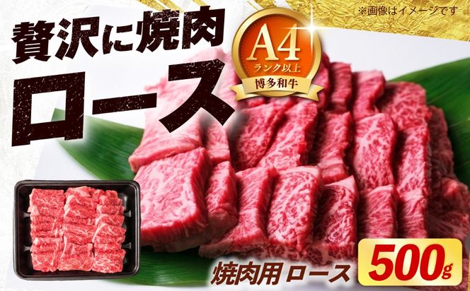 博多和牛 牛肉 焼肉 ロース 500g《築上町》【肉のくまもと屋】[ABEZ074]