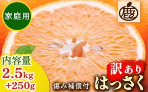 ＜1月より発送＞家庭用 はっさく2.5kg+250g（傷み補償分）｜ 八朔みかん わけあり 訳あり ワケアリ ◇