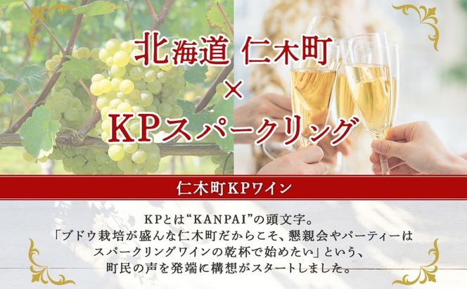 北海道産 スパークリング ワイン 750ml 2本 KPワイン Sテロワール ぶどう ナイアガラ 葡萄 ブドウ 白ワイン 辛口 酒 お酒 贈答 贈り物 お祝い ギフト 記念日 送料無料 