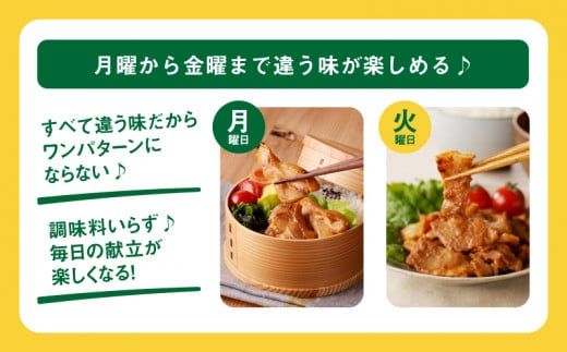 ★ChaChatぐるめ15個バラエティセット K16_0040_2