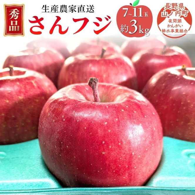 りんご 先行予約 サンふじ 秀品 約 3kg (7～11玉) フルーツ 果物 冬 2026年 12月発送