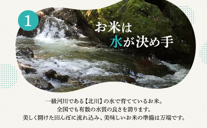 【11月お届け】若狭町コシヒカリ5kg 米 お米 こしひかり 福井県