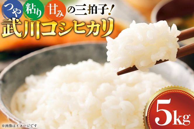 米 武川 コシヒカリ 5kg [韮崎翠緑 山梨県 韮崎市 20745565] こしひかり ふるさと納税 お米 おこめ こめ コメ 5キロ ご飯 ごはん 白米 国産