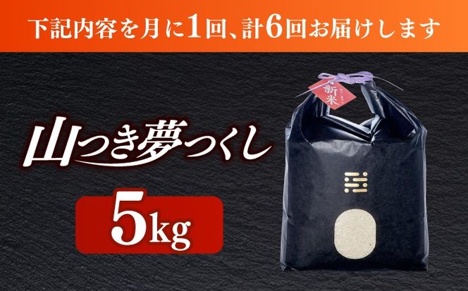【全6回定期便】農薬 を使わずに育てた 山つき   夢つくし 5kg【築上町】 / itoshimacco / 株式会社やました[ABEX015]