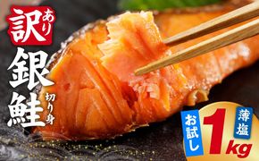 G5894 【訳あり】銀鮭 切り身 1kg(約9切れ)【規格外 甘塩 バラ凍結 海鮮 魚介 鮭 さけ しゃけ お弁当 朝食 おかず 簡単調理】