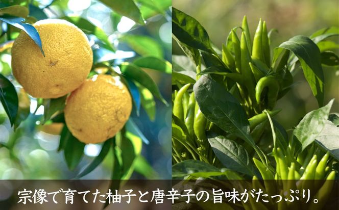 【一週間以内に発送】旨味爆発！柚子香る国産クラフトホットソース「青鬼の涙」3本セット【フミ子印】_AS1677-00
