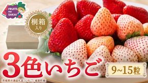 【桐箱入り】3色いちご 9～15粒 【2027年1月から発送開始】（茨城県共通返礼品 [いちご]：城里町産） いちご イチゴ 苺 甘い 国産 人気 桐箱 贈答 贈り物 ギフト ふるさと納税