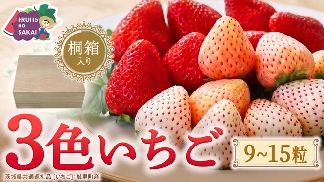 【桐箱入り】3色いちご 9～15粒 【2027年1月から発送開始】（茨城県共通返礼品 [いちご]：城里町産） いちご イチゴ 苺 甘い 国産 人気 桐箱 贈答 贈り物 ギフト ふるさと納税