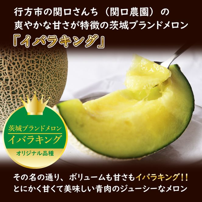 【2026年5月より順次発送】イバラキングメロン 3～4玉｜メロン イバラキングメロン フルーツ 果物 くだもの 先行予約 茨城県 行方市(BW-18-1)
