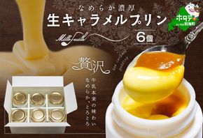 鉄板！絶品濃厚！生キャラメルプリン 6個入  酪農日本一・北海道別海町の牛乳とこだわり平飼い卵使用