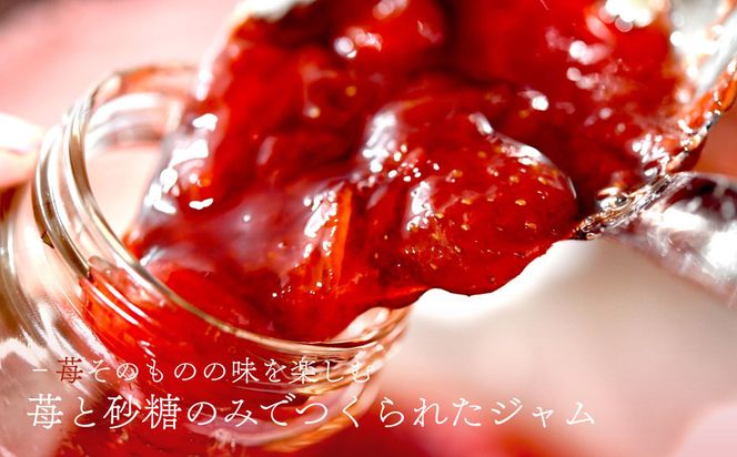 【MAISON DE FROUGE】季節の自家製いちごジャム 2種・各100g｜人気いちごスイーツ [ 苺スイーツ専門店 苺と砂糖のみで作られたジャム 果肉ごろごろ あまおう さちのか 紅ほっぺ おいCベリー おすすめ 手作りジャム ギフト プレゼント お取り寄せ 通販 送料無料 ふるさと納税 ] 261009_B-VV04