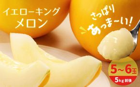 〈予約受付〉 【2027年発送】完熟！イエローキングメロン 5kg前後 (5玉～6玉) 追熟不要 甘い さっぱり スイーツ 果物 さわやか かわいい H141-017