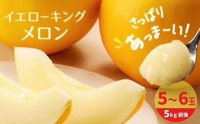〈予約受付〉 【2027年発送】完熟！イエローキングメロン 5kg前後 (5玉～6玉) 追熟不要 甘い さっぱり スイーツ 果物 さわやか かわいい H141-017