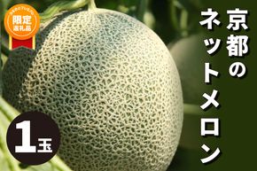 【ふるプレ限定品】【特別寄附額】【先行予約／数量限定100】アールスメロン（ネットメロン） 1玉（2026年7月上旬～発送）　NG00015P