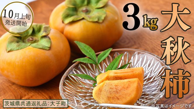 大秋柿 3kg 【 2026年10月上旬発送開始 】 ( 茨城県共通返礼品：大子町 ) 柿 カキ かき 果物 フルーツ 旬 季節限定 期間限定 農家直送 産地直送 [FC200us]