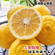 【先行予約】【人気柑橘】 有田育ちの はるか みかん（訳あり 家庭用）1kg+200g(痛み補償分) ※2027年1月下旬～2月下旬に順次発送 ※着日指定不可【ard251】