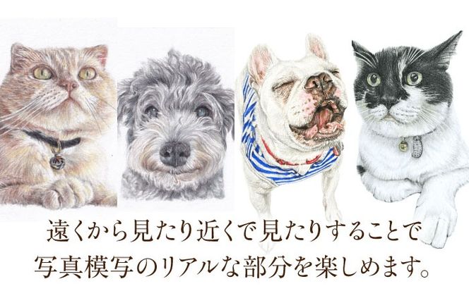 ＼唯一無二の作品へ／ペット 肖像画（2Lサイズ） 絵画 犬 ネコ 愛西市／村雲さゆり[AECU001]