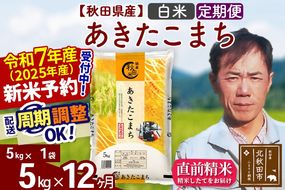 ※令和7年産 新米予約※《定期便12ヶ月》秋田県産 あきたこまち 5kg【白米】(5kg小分け袋) 2025年産 お届け周期調整可能 隔月に調整OK お米 みそらファーム|msrf-10312