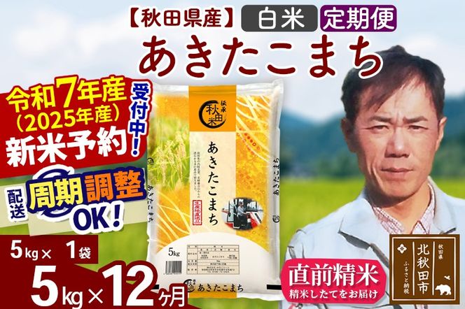 ※令和7年産 新米予約※《定期便12ヶ月》秋田県産 あきたこまち 5kg【白米】(5kg小分け袋) 2025年産 お届け周期調整可能 隔月に調整OK お米 みそらファーム|msrf-10312