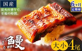 【6ヶ月定期便】うなぎ 大小 4尾  国産 鰻 真空パック おすすめ うなぎの蒲焼 《お申込み翌月から出荷》 ふるさとのうぜい 特上 簡易包装 ウナギ unagi 蒲焼 秋 冬 旬 配送時期 冷凍---mifune_lcl_1340_mo6---