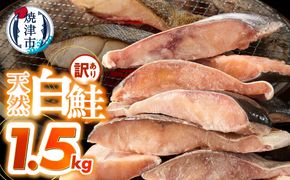a10-1177　訳あり！天然 白鮭 甘口 切身 約1.5kg バラ凍結 大袋ジッパー