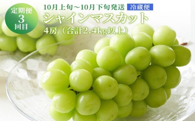 ぶどう 【2026年 先行予約】 晴れの国 おかやま の フルーツ 定期便 葡萄 ニュー ピオーネ シャインマスカット 岡山県産 国産 セット ギフト