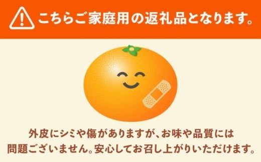 ＜1月より発送＞家庭用 柑橘詰合せ10kg+250g（傷み補償分）（傷み補償分）【訳あり・わけあり】【有田の春みかん詰め合わせ・フルーツ詰め合せ・オレンジつめあわせ】【光センサー選別】