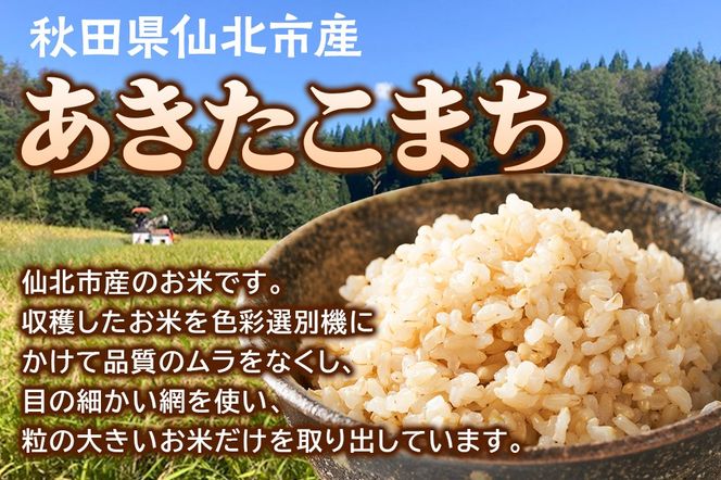 【玄米】令和7年産 あきたこまち 10kg 米 お米 こめ 秋田県 仙北市産|02_kwm-021001