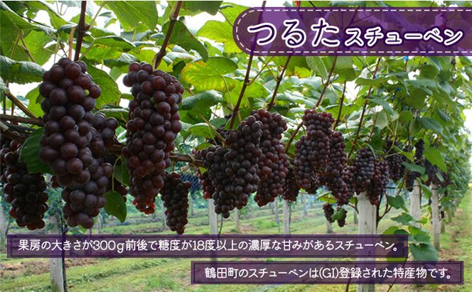 鶴田町　25年3月おすすめ返礼品！年度末のご寄附に！鶴田バターサンド 6個入り お菓子 洋菓子 スイーツ おやつ 手土産 お土産 ティータイム ほんのり塩味 サクサク 濃厚バタークリーム 