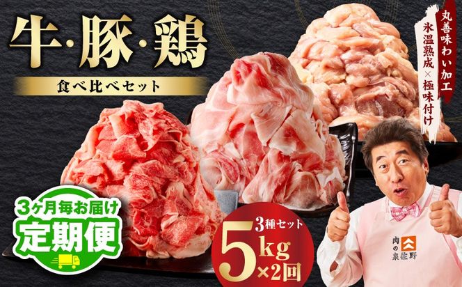 mrzZ084 【定期便】国産 牛肉＆豚肉＆鶏肉セット 5kg×全2回【氷温熟成×極味付け 3種 食べ比べ 普段使い 味付き 小分け 訳あり サイズ不揃い  2026年3月＆6月発送】