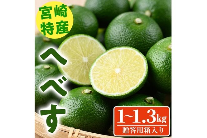 ＜先行予約受付中！2025年7月上旬～8月上旬の間に発送予定・期間限定＞宮崎特産へべす(1～1.3kg)  へべず 柑橘 果汁 贈答用 国産 特産品 宮崎県 門川町 【KT-10】【K.Tfarm】