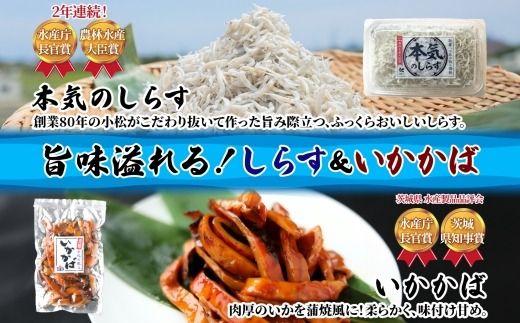 167-22-005　こまつ 受賞セット 本気のしらす 栄養ばくだんふりかけ おにぎりブレンド いかかば 釜揚げ しらす ちりめん いか イカ ふりかけ しらす丼 ご飯のお供 魚 魚介 海の幸 グルメ 人気 ギフト 贈り物 贈答品 小松水産 茨城県 日立市