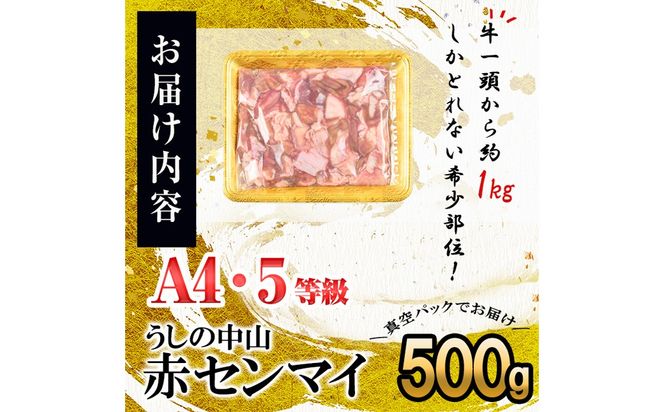 うしの中山 A4・A5等級黒毛和牛 赤センマイ（ギアラ）計500g（500g×1P）p9-033